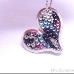 RIMG1196-006 RIMG1196-006