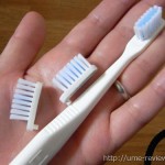 ブラシだけを交換できるドイツ生まれのテラデントエコ歯ブラシを使ってみました