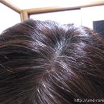 リマ―ユのスカルプシャンプーは頭皮ケアもできて髪の仕上がりにも満足